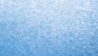 Decorative Window Films