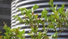 Wastewater Savings