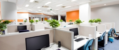 Eco Friendly Office Design