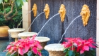 Sensational Water Features