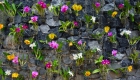 What is a Vertical Garden?