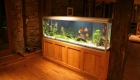 Maintaining Your Aquarium