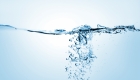 Using an Aquarium Maintenance Service
