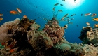Types of Aquarium Lighting