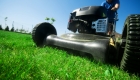 Choosing a Lawn Mowing Service