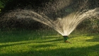 Essential Guide: When to Water Lawn