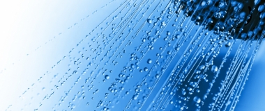 Trending: Rain Shower Heads