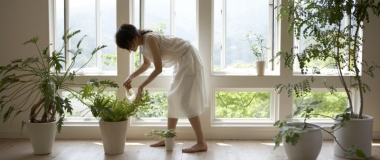 Indoor Plants: Hot or Not?