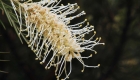 Is Your Garden Ready for Winter?