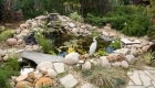 Creating a Natural Water Garden