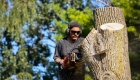 What is an Arborist?
