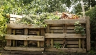 How to Make a Compost Heap