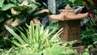 Planning Your Balinese Garden