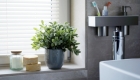 5 Step Budget Bathroom Revamp