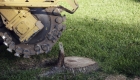 What is Stump Grinding?