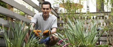 Top Summer Gardening Tips