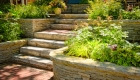 5 Things to Know Before You Landscape