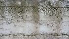 Concrete That Fixes Itself