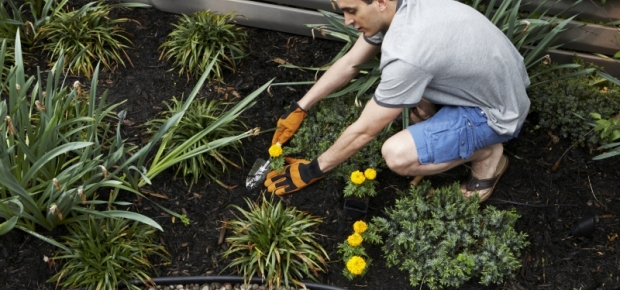 how-much-do-gardeners-cost