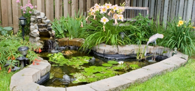 Garden Ponds - Home Improvement Pages