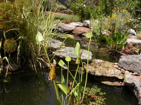 Garden Design Ideas by Green Earth Landscapes