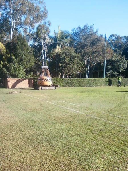 Lawn & Turf
