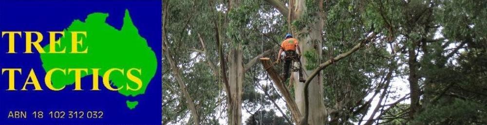 Tree Tactics
