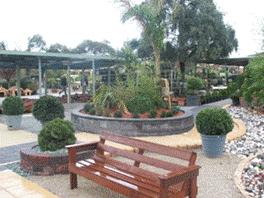 Plants