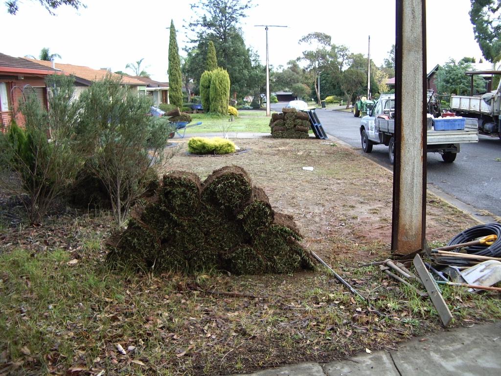Lawn and Turf