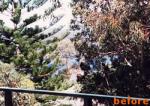 Foliage Reduction
