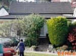 Landscaping & Maintenance