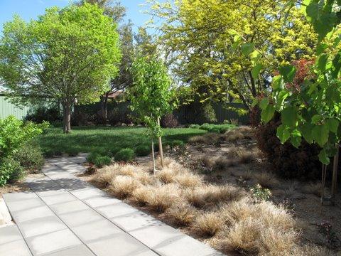 Garden Gallery 2