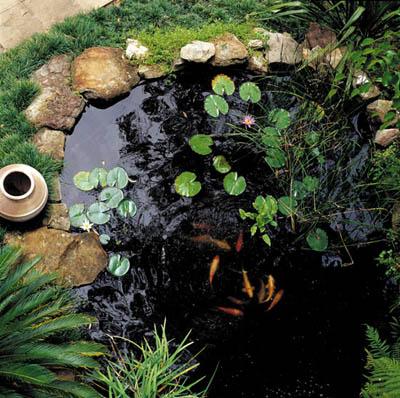 Water Feature Ideas by Amanzi Landscapes