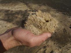 Loksand Fibre Turf
