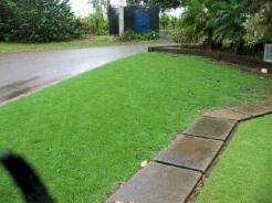 Sealsle Paspalum