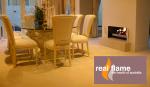 Double Vision Gas Fires