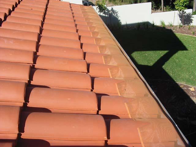 Fine Leaf Mesh