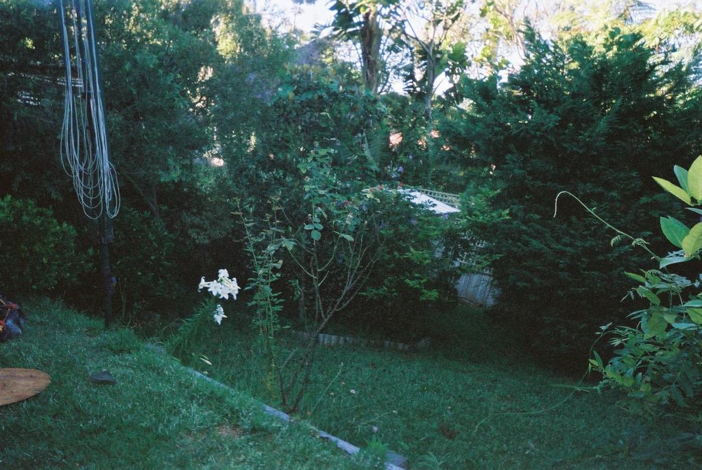 Bellevue Hill
