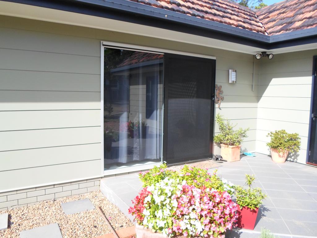 Windows & Doors
