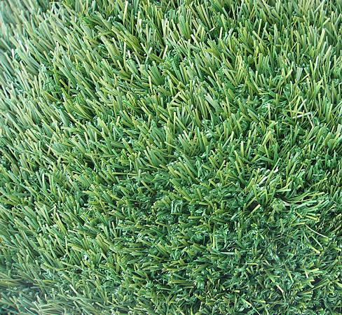 Grass Types