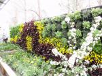 Vertical Gardens