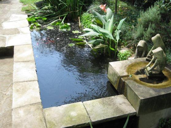 Water Feature Ideas by ADSCAPE