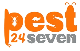 Pest 24 Seven