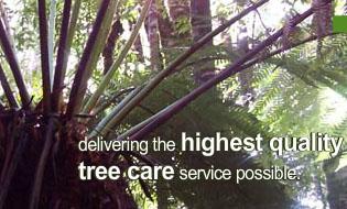 Heritage Tree Care