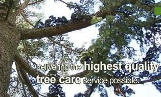 Heritage Tree Care