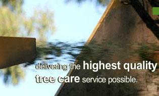 Heritage Tree Care