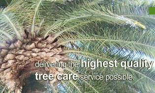 Heritage Tree Care