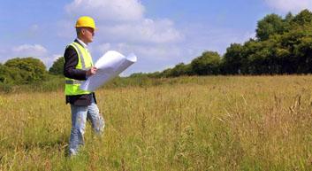 Arborist Reports & Consulting - Naturally Trees