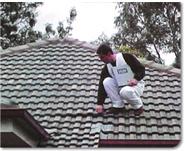Tile Roof Restoration
