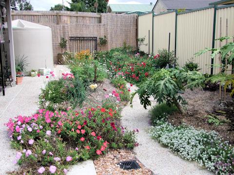 Landscape Design